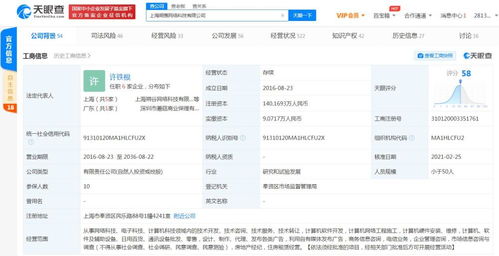 商務(wù)信息咨詢(xún) 企業(yè)決策的智慧引擎