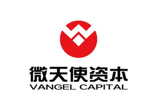 青島微天使商務(wù)信息咨詢(xún)管理企業(yè) 專(zhuān)業(yè)引領(lǐng)，助力企業(yè)騰飛