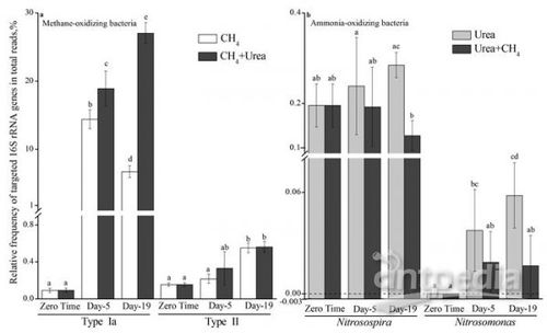 南京土壤所土壤功能微生物技術開發取得新進展